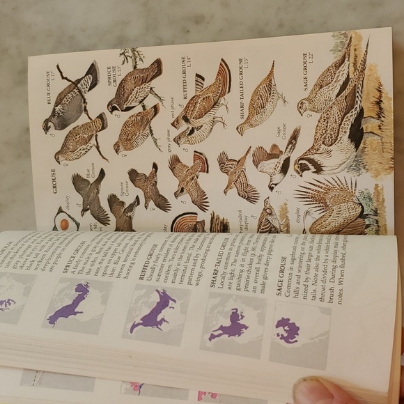 Birds Of North America Golden Guide Book - Picture 5 of 5